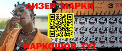 индика Кингисепп