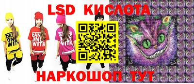 индика Кингисепп