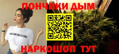 индика Кингисепп