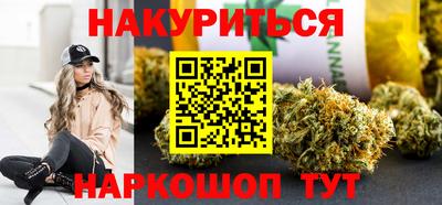 индика Кингисепп