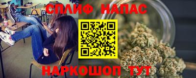 индика Кингисепп