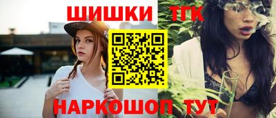 индика Кингисепп