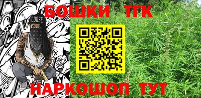 индика Кингисепп