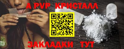 индика Кингисепп