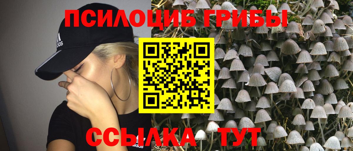 Псилоцибиновые грибы Magic Shrooms Кропоткин