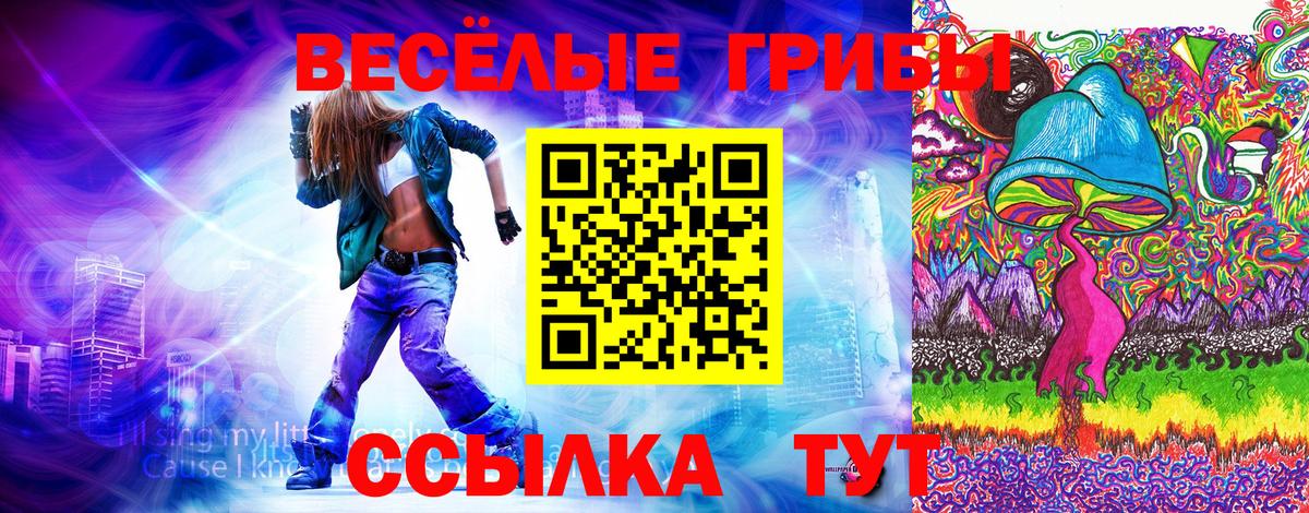 Кропоткин  Псилоцибиновые грибы Psilocybe  Галлюциногенные грибы Cubensis  Вход с VPN 